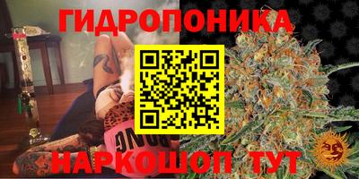 мдпв Абакан